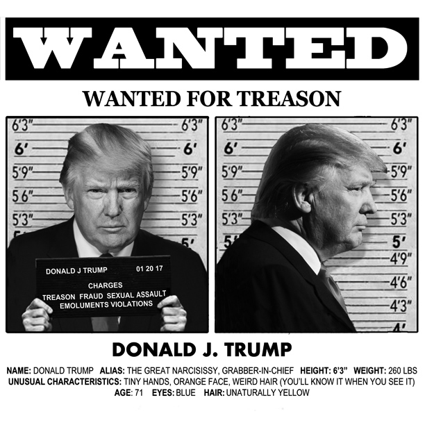 Michael D'Antuono's Wanted Poster of Donald Trump